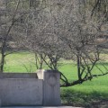 Exploring Memorials: An Overview