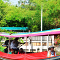 Exploring Boat Tours: A Look at the Different Types and Options