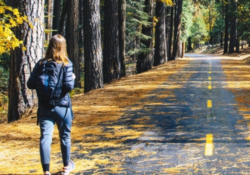 Everything You Need to Know About Walking Tours